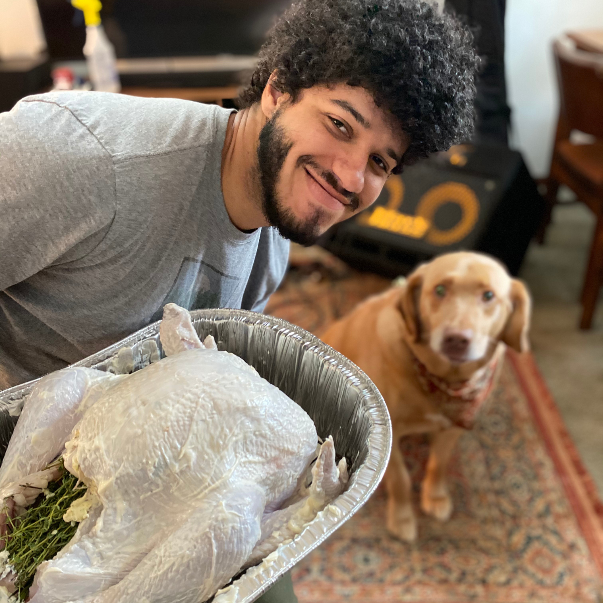 This picture is of my Turkey from this past Thanksgiving. It was out first little family-of-three's Thanksgiving together, and Jo's 22nd birthday!