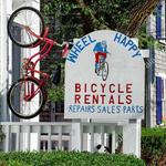 Bike Rentals