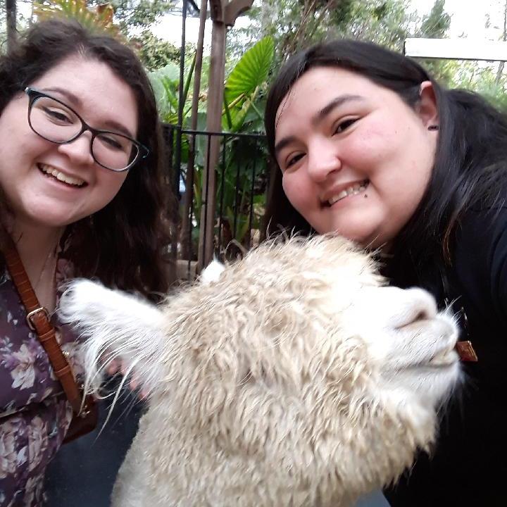 I love LLAMAS at San Antonio Aquarium in 2020 🦙😍