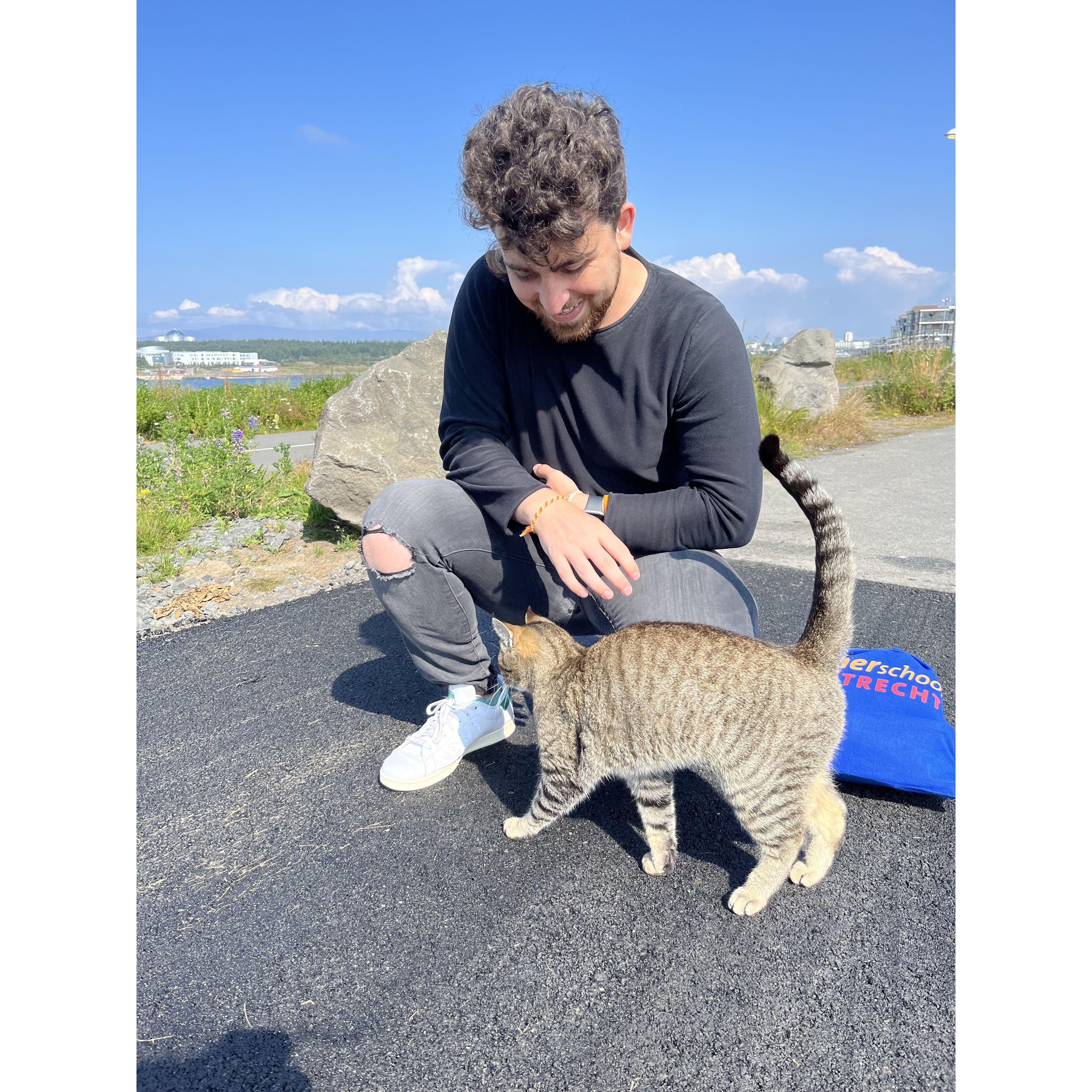 July 2023 - Icelandic cat may have been Faraaz's highlight of the entire trip
