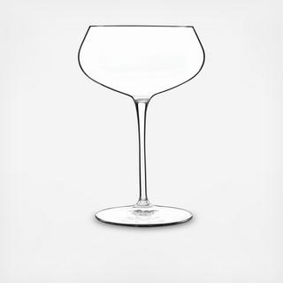 Tentazioni Spumante Champagne Coupe Glass, Set of 6
