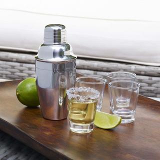 5-Piece Mini Cocktail Shaker & Shot Glass Set