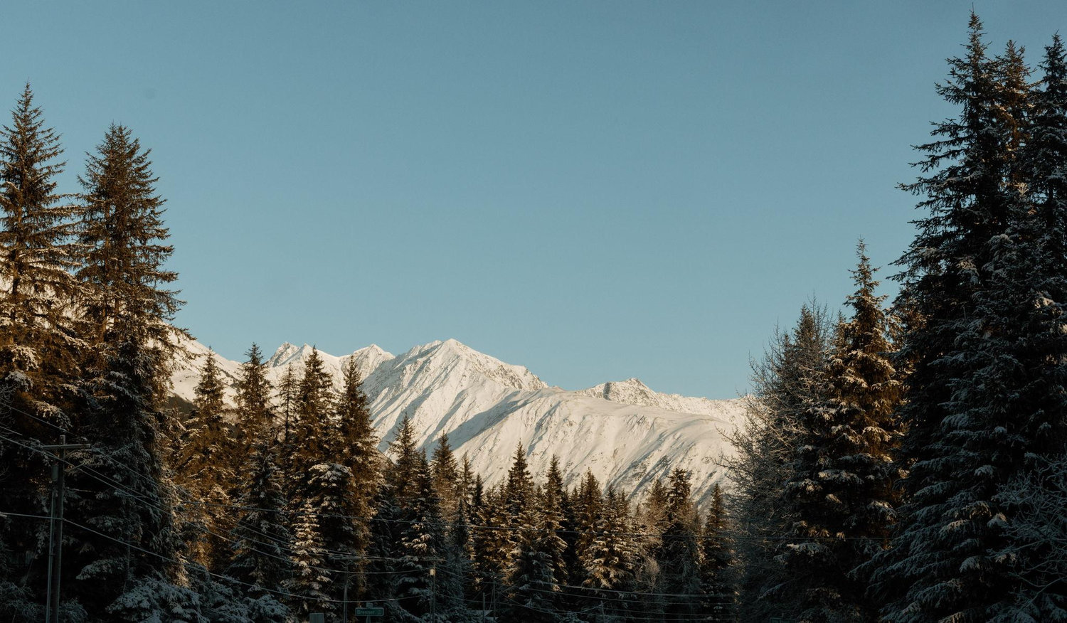 Footer image