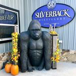 Silverback Distillery