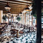 L'Amico, The Vine, Lupulo