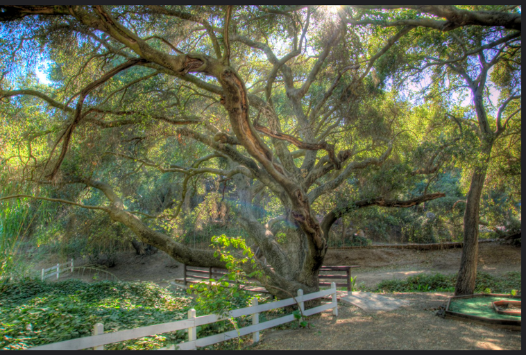 The Wedding Website of Tara Gordon and Robby Gurney