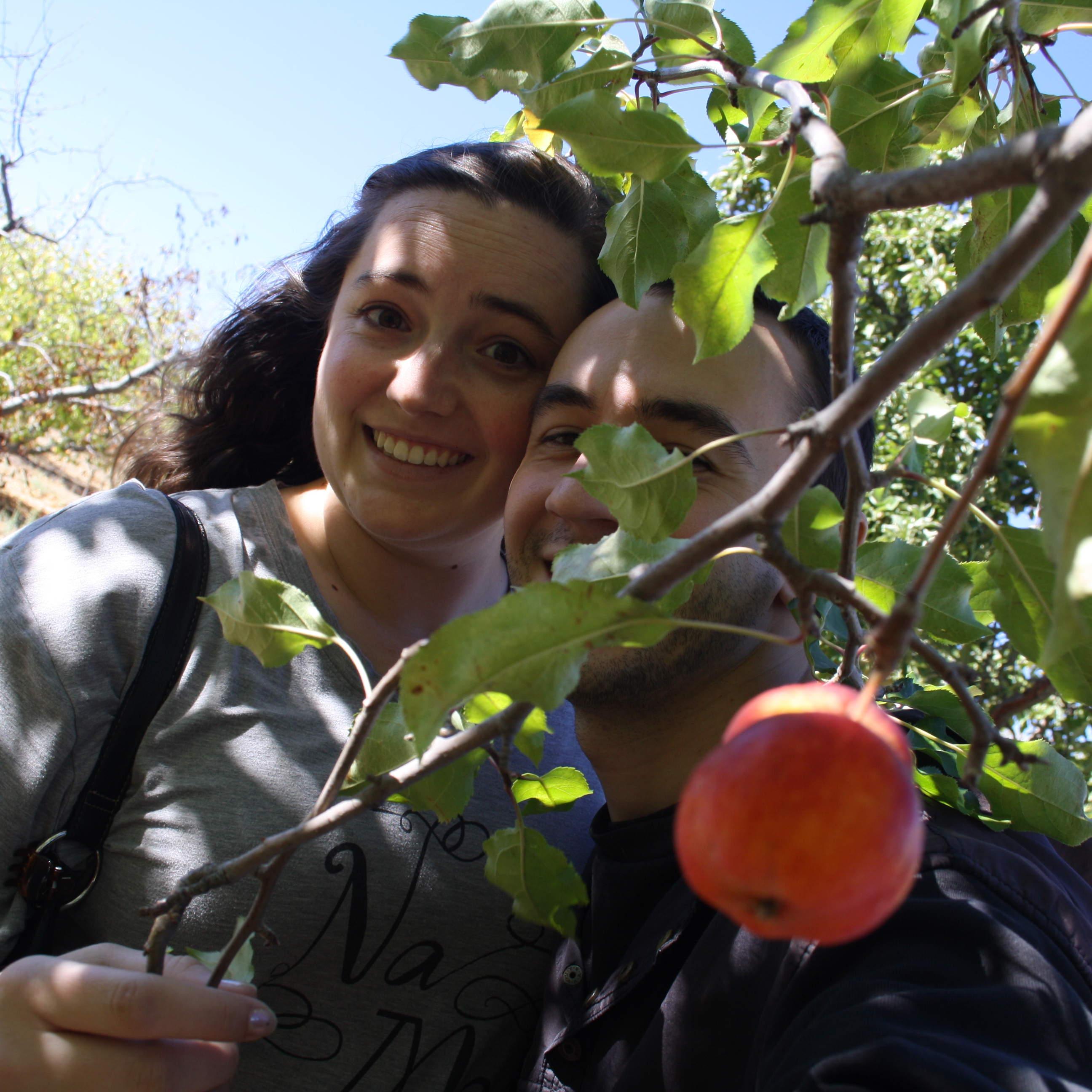 Annual Julian apple picking - Oct. 2017