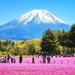 Mt. Fuji Day Trip