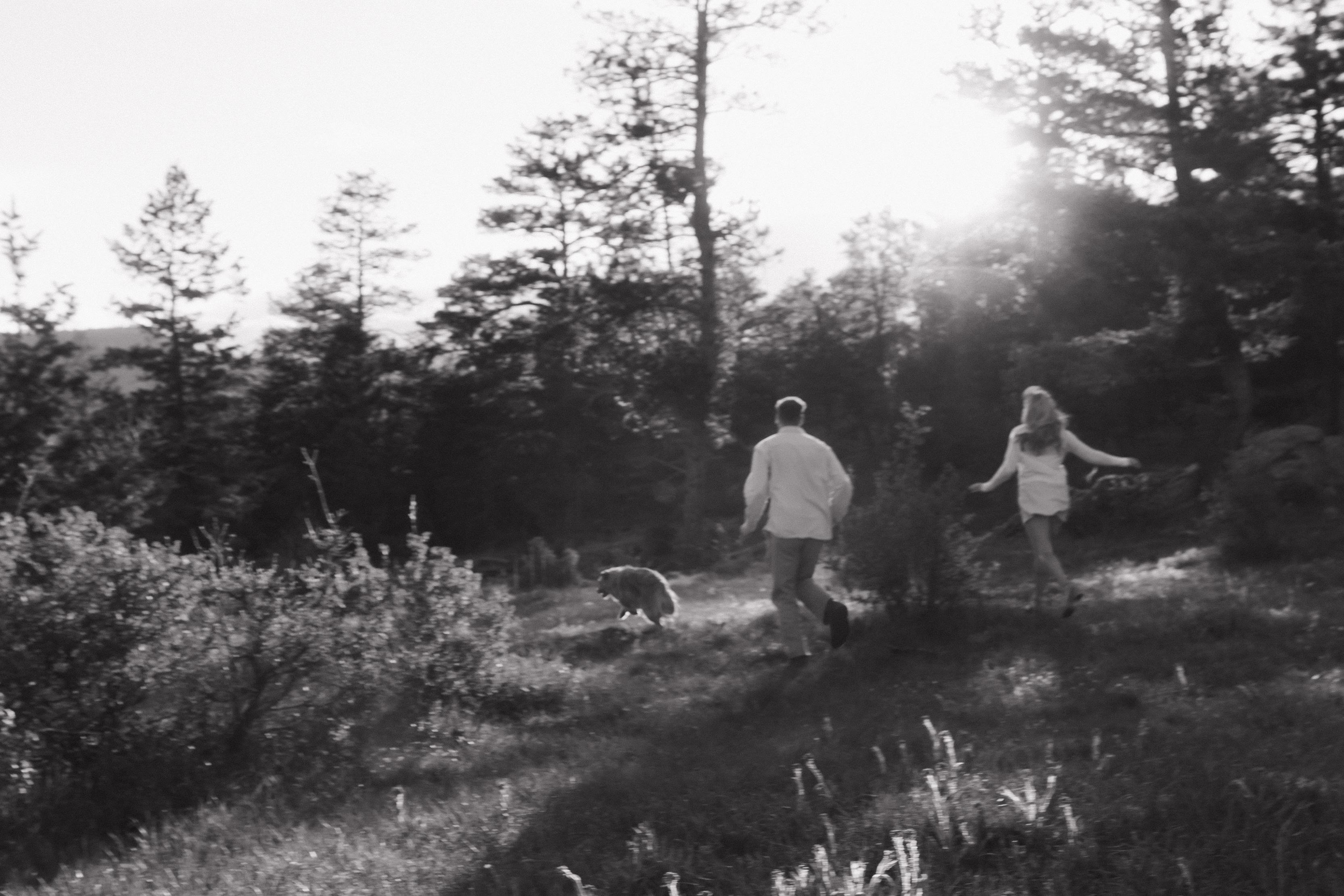The Wedding Website of Rainey Stoner and Declan Schade