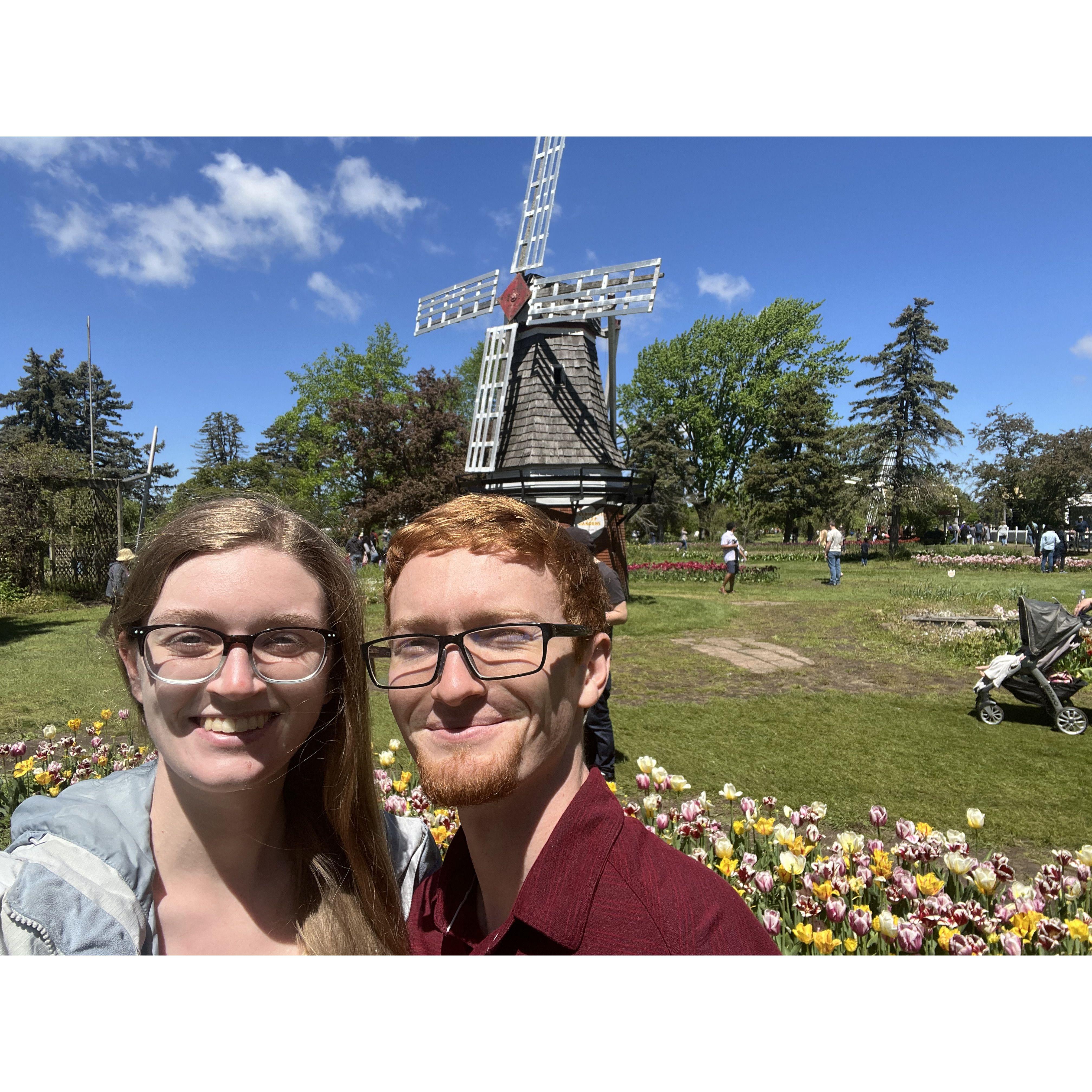 Tulip Festival May 2024