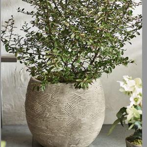 Wavy Concrete Orb Planter