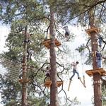 Extreme Adventure Course