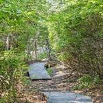 Sound View Dunes Park