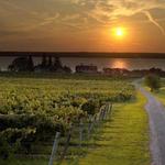 Seneca Lake Wine Trail