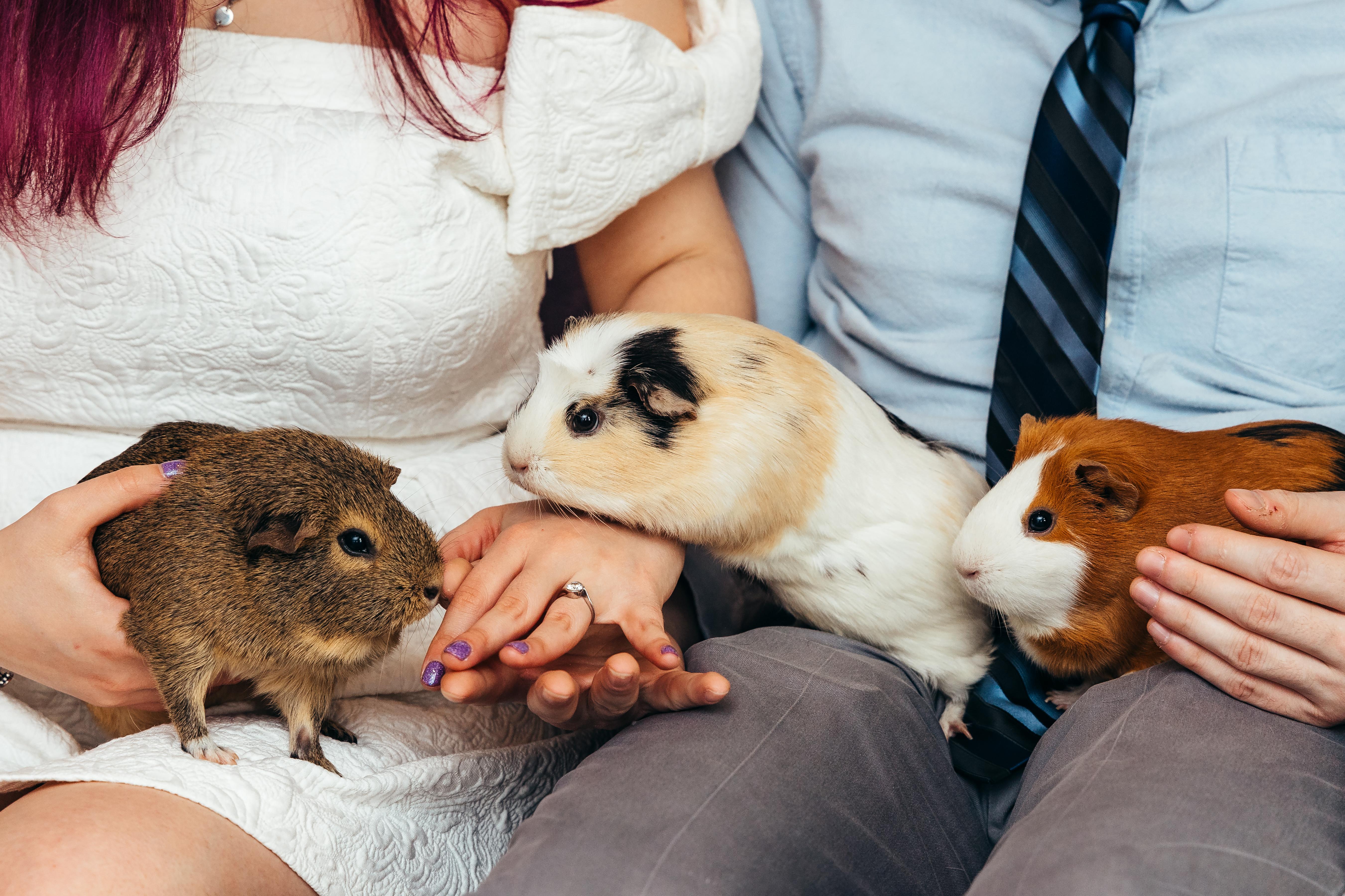 The Wedding Website of Valentina Marzulli and Jason Meurlin