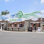 The Buffalo Zoo