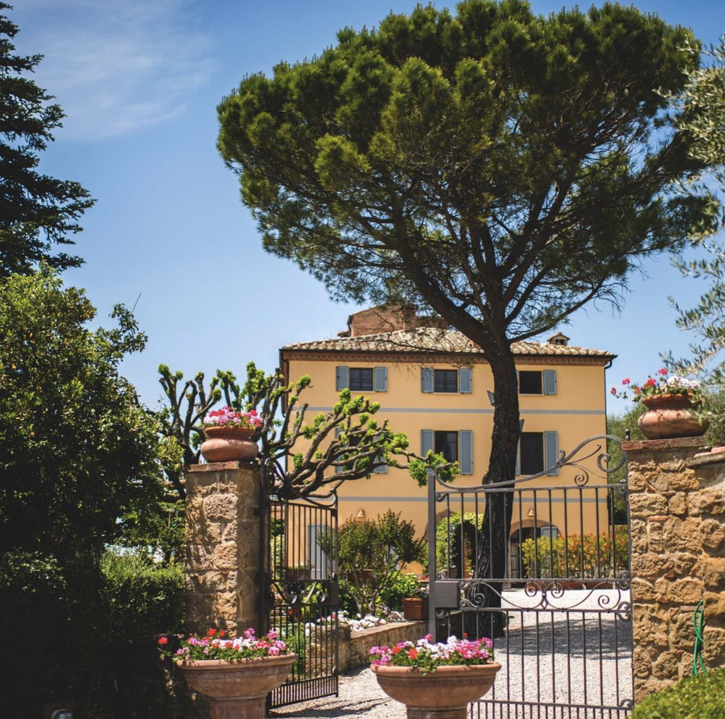The Wedding Website of Valentina Testa and Kaleb Thomas