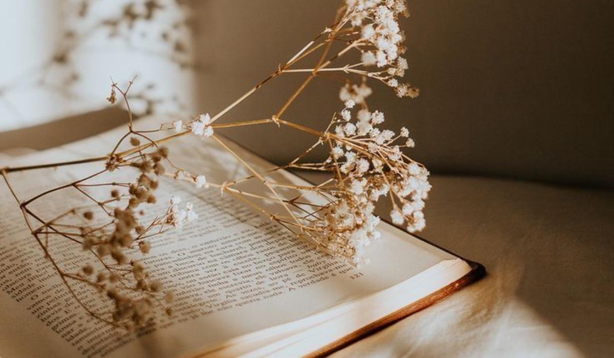 The Wedding Website of Kirsten Thuesen and Devon Douglas