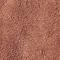 Praline