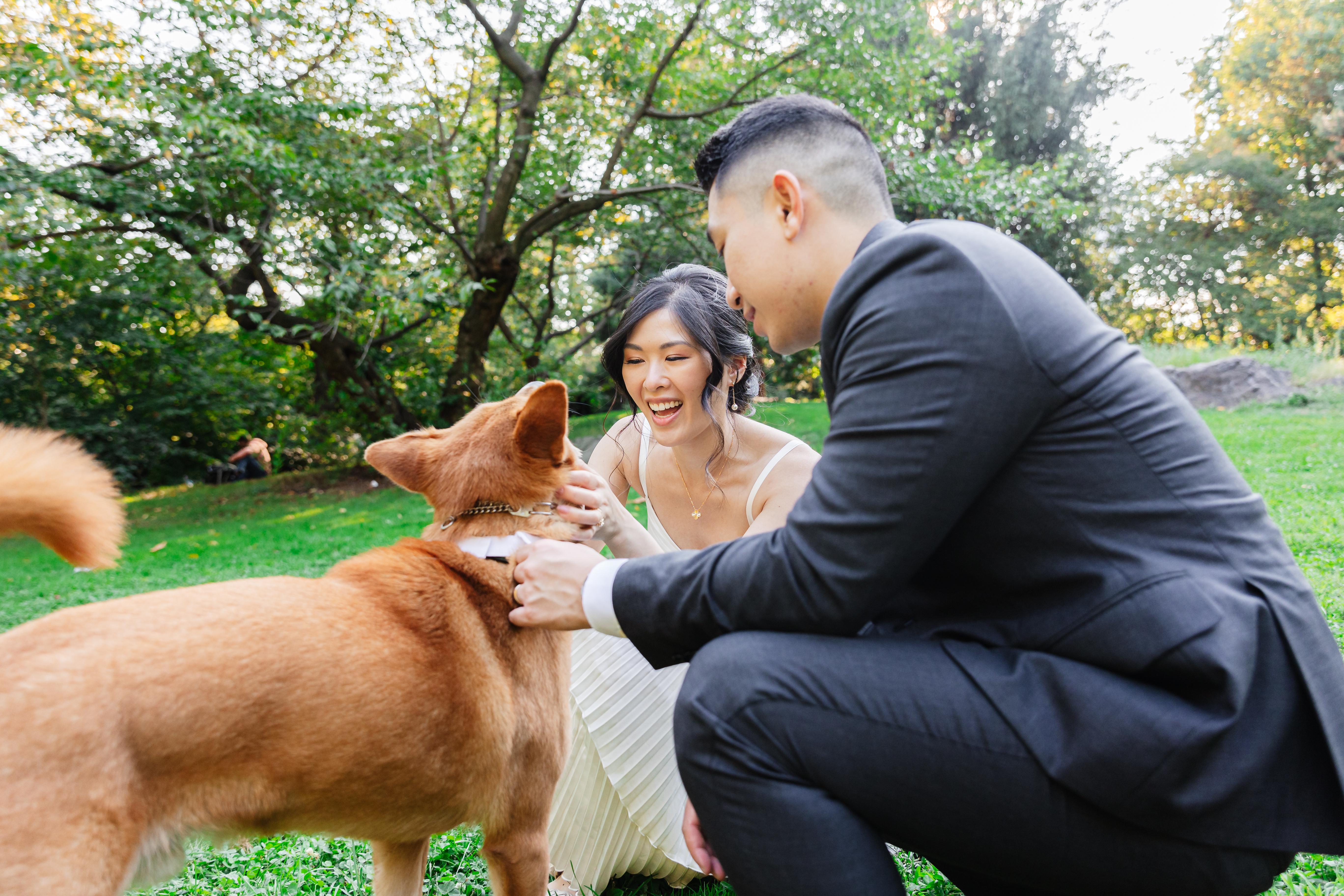 597c1a29-3b16-4778-a78b-9948fa897941