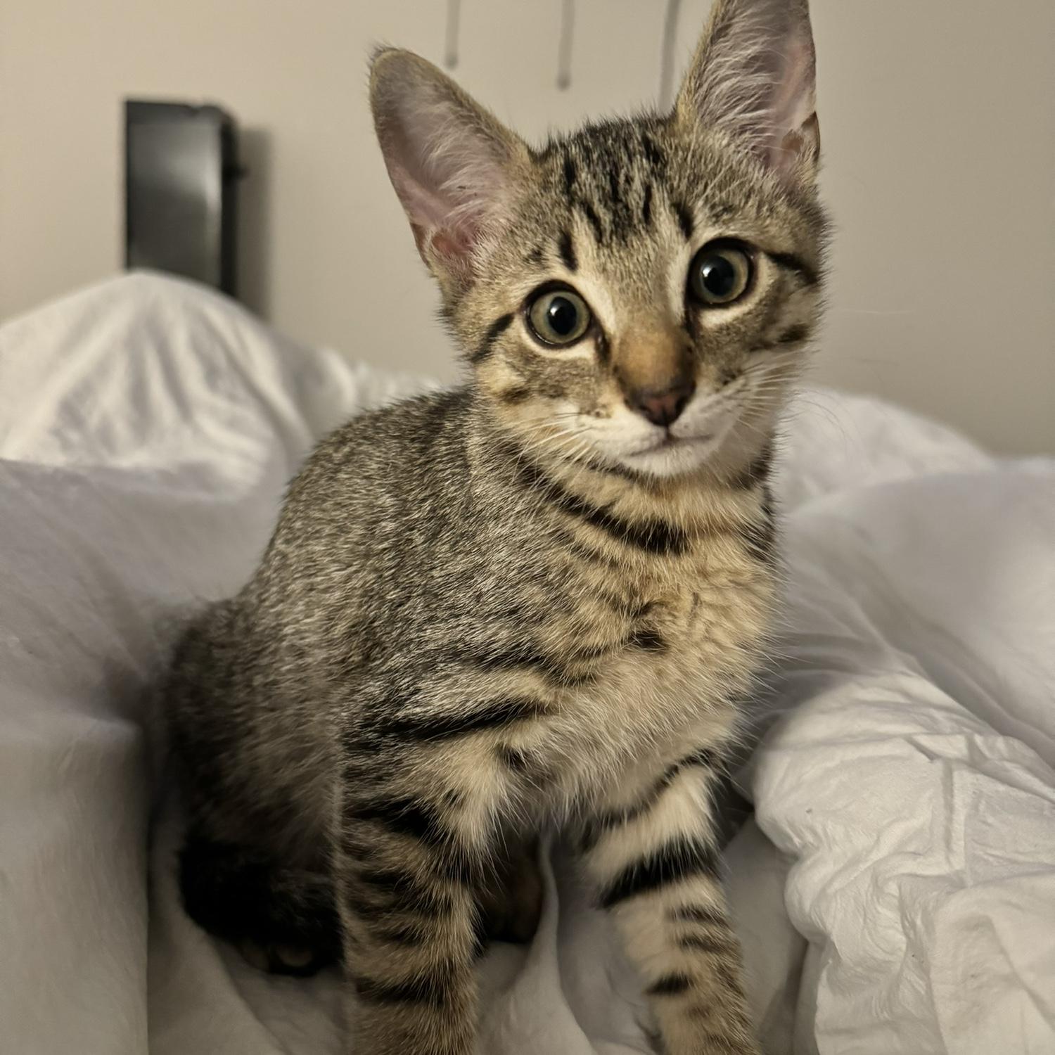 Our first baby together, Rauw 🥹