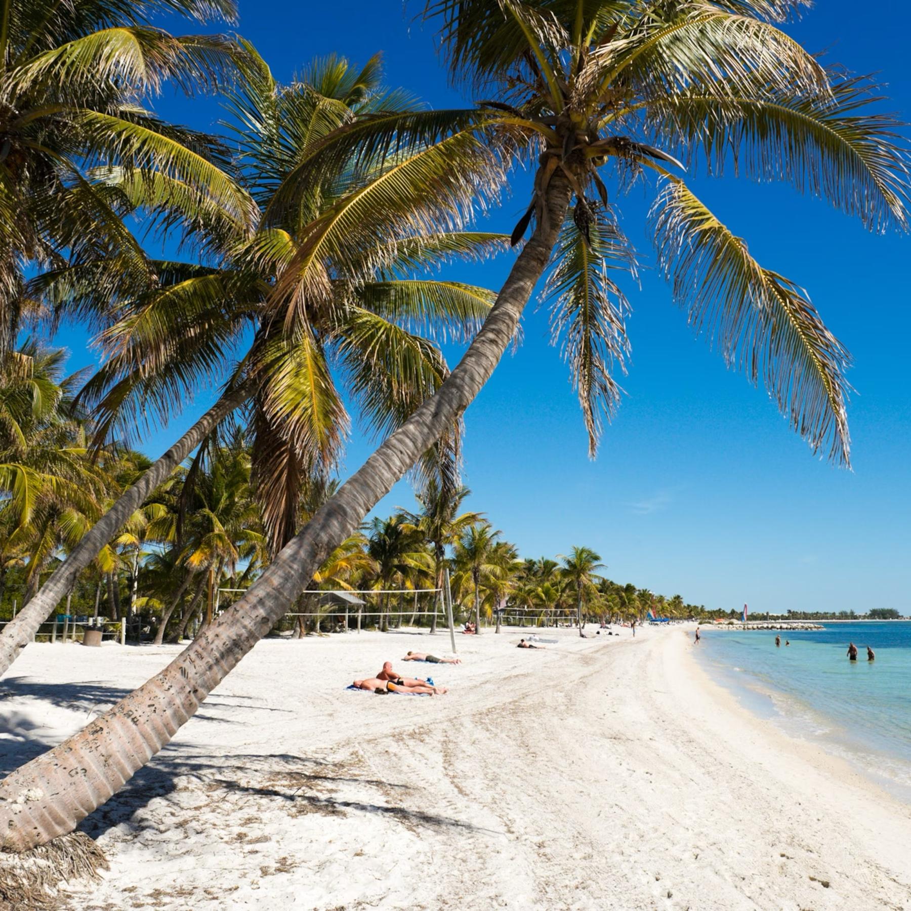 Honeymoon in Key West 🌊☀️🏖️