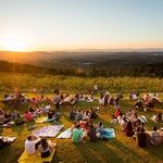 Carter Mountain Orchard