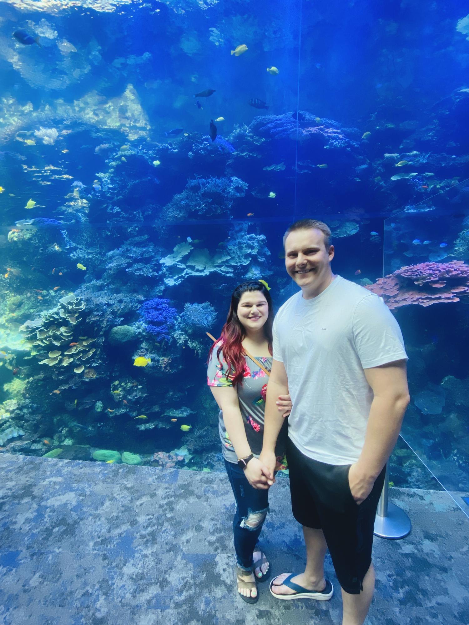 georgia aquarium