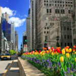Magnificent Mile