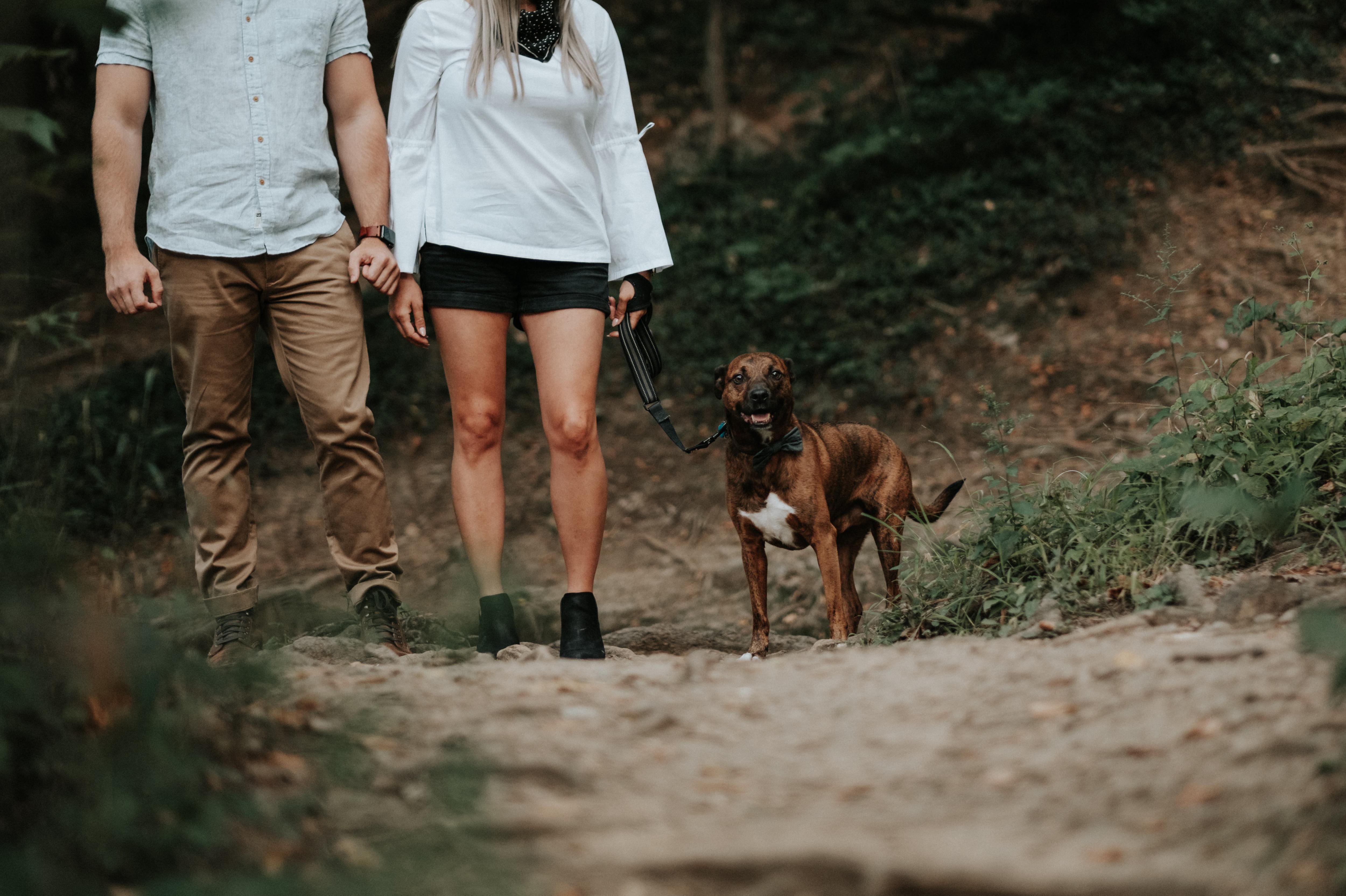 The Wedding Website of Chelsea Rinehart and Zachary Haney