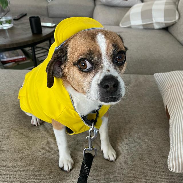 Rainy Day Fund