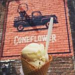 Coneflower Creamery - Blackstone District