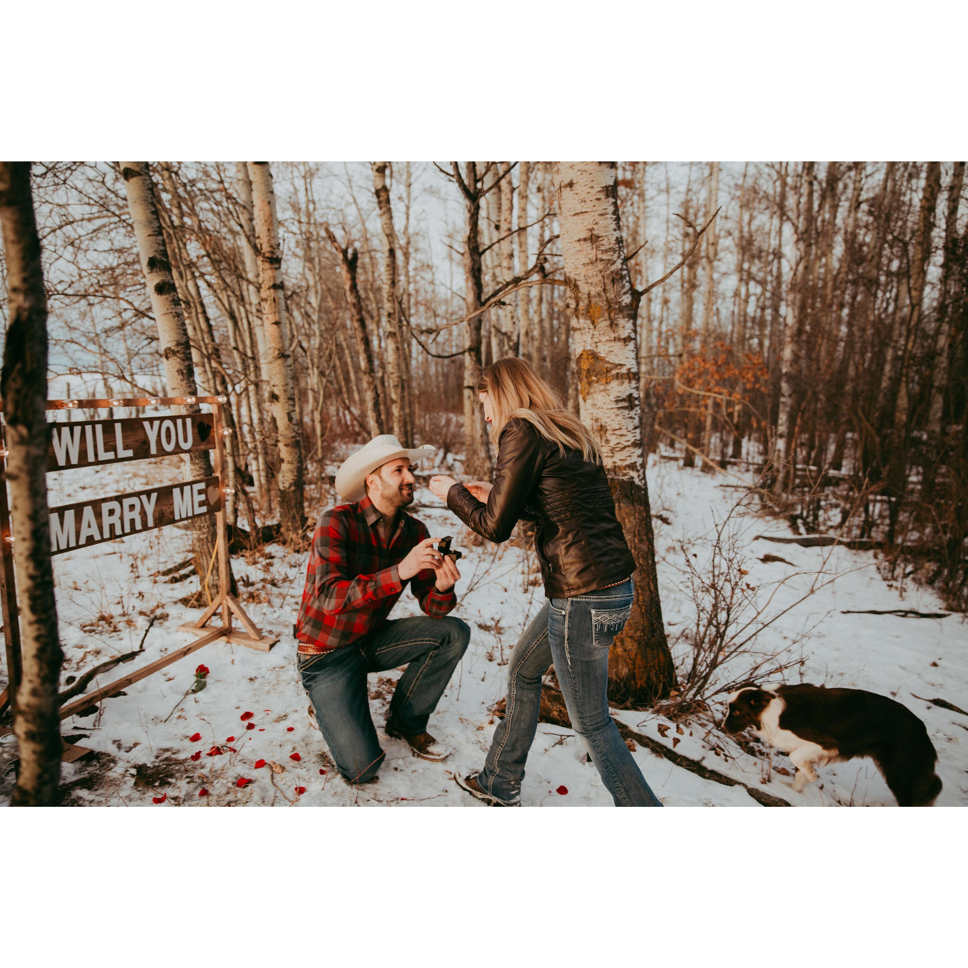 And she said "Yes!"