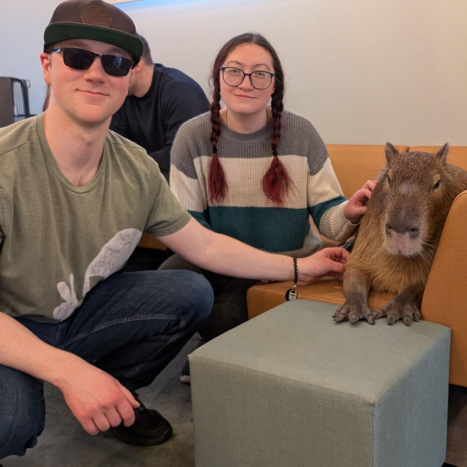 We went to a Capybara cafe in Tokyo, we got to feed the Capybara's carrots and sit with them. If they didn't want to be around us they had an off limits room