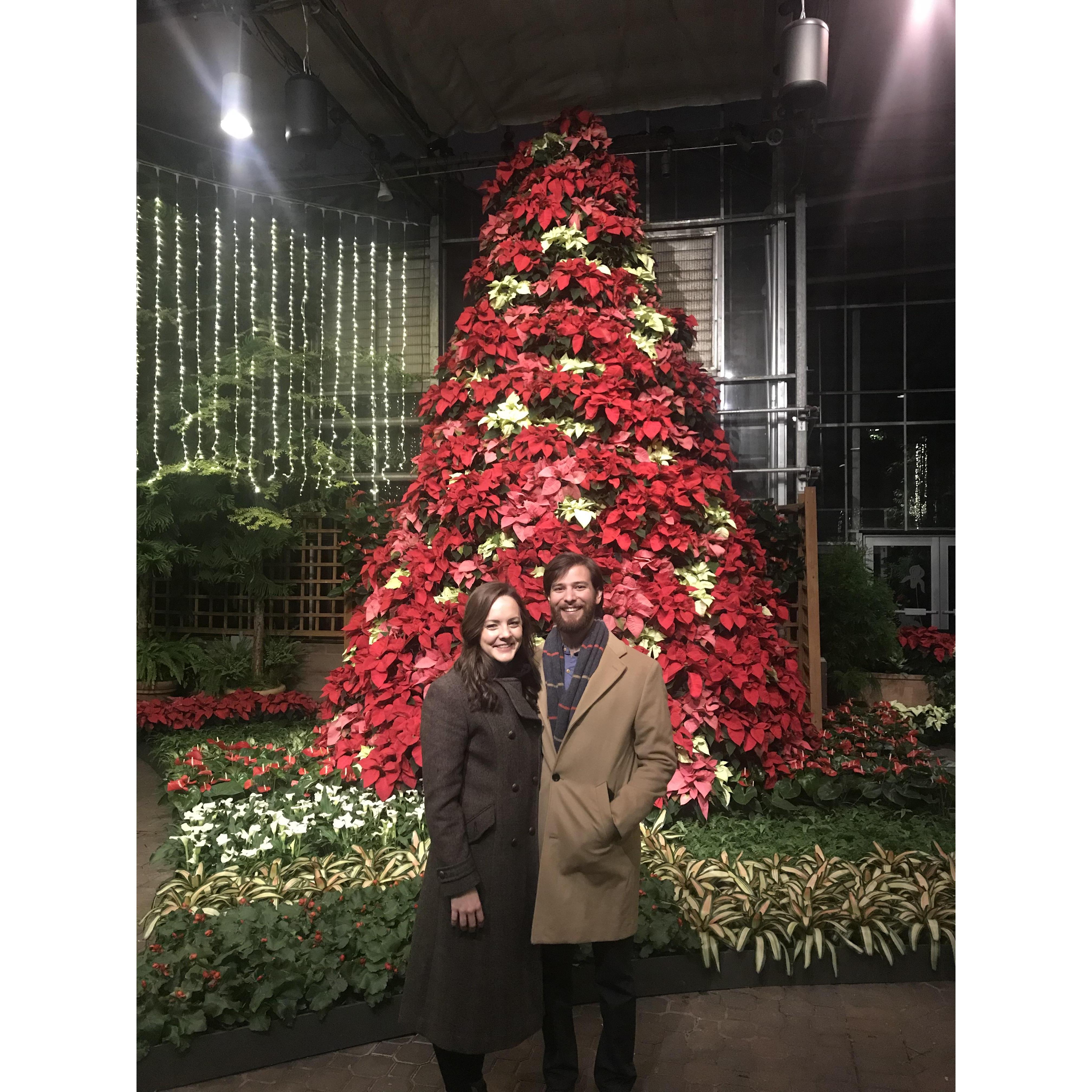 Garden of the Lights
November 2018