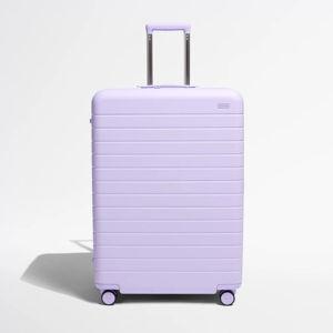 The Large in Lavender Haze Purple