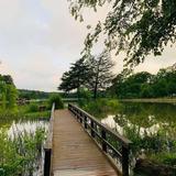 Tyler State Park Lake