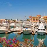 Downtown/Marina