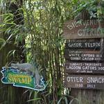 Audubon Zoo