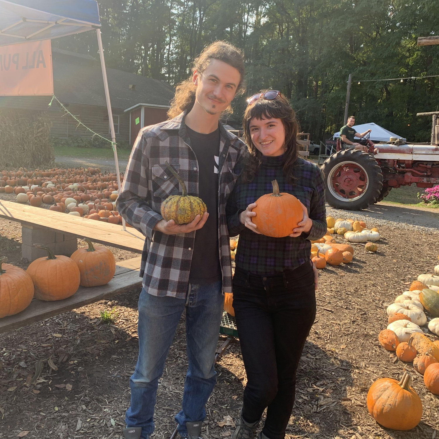 Pumpkin picking in 2024
