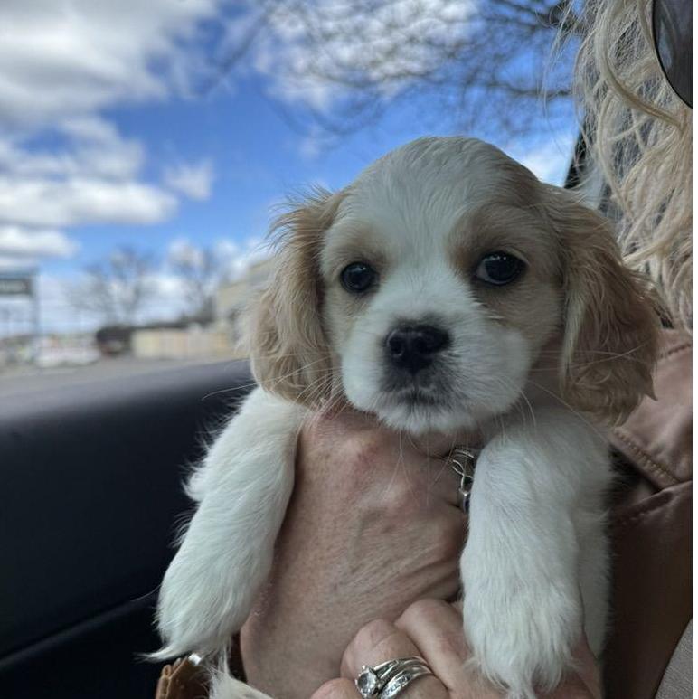 Our 4th baby!! Maisey May