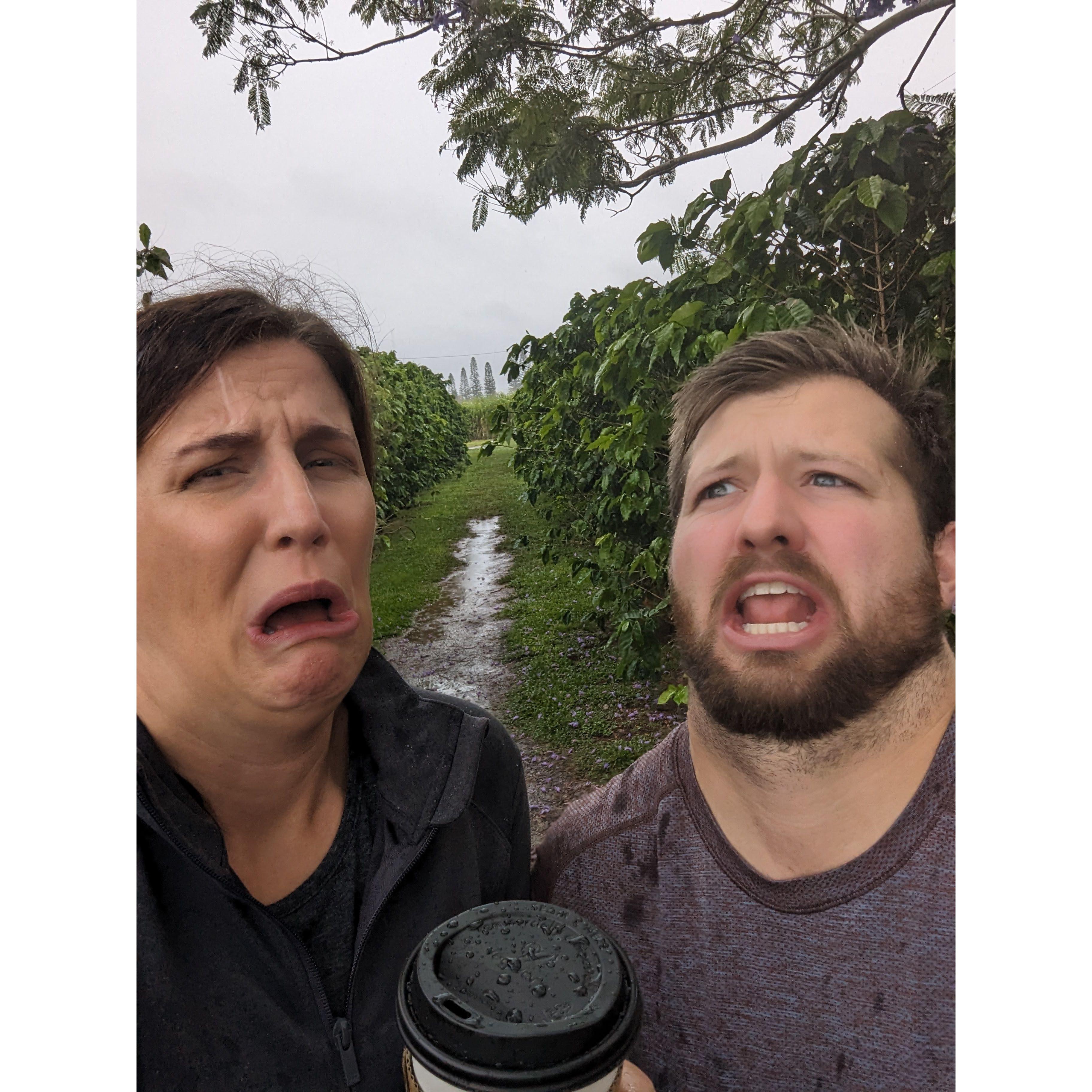 Hawaii Coffee Farm