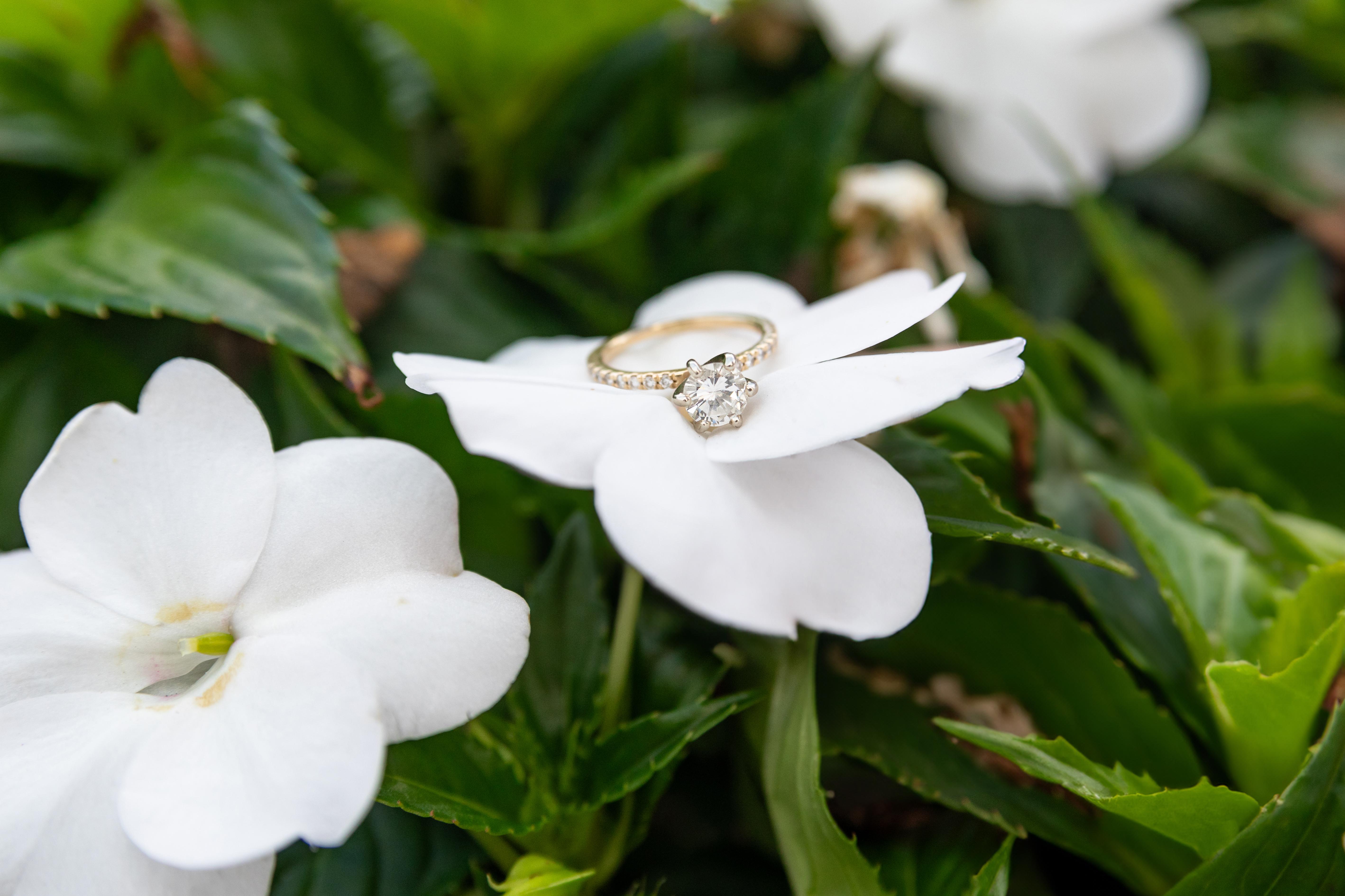 The Wedding Website of Emily Rose Galvin and Charles Houston Stokes