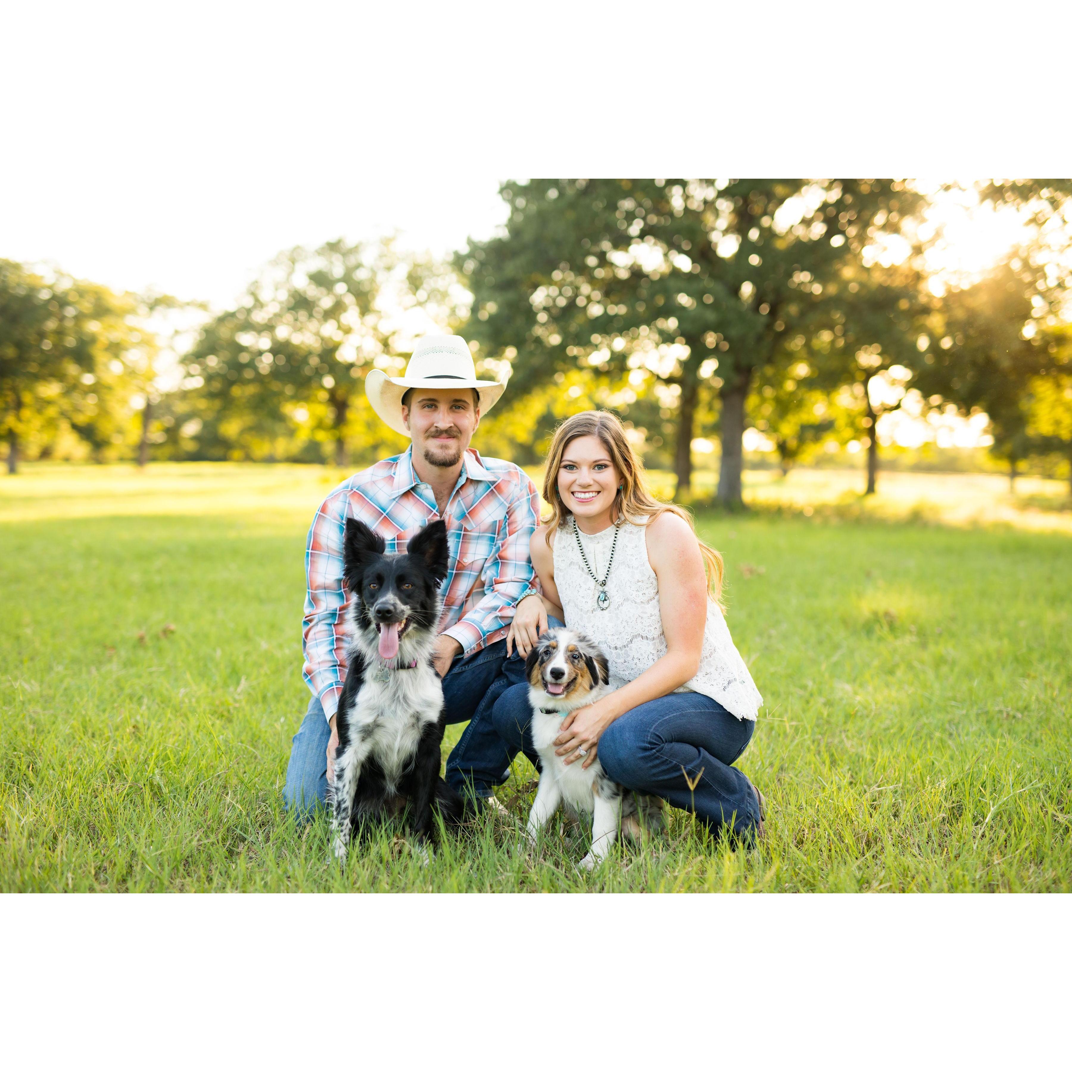 We LOVE our girls! Dally & Dixie.