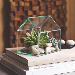 Farnsworth Terrarium