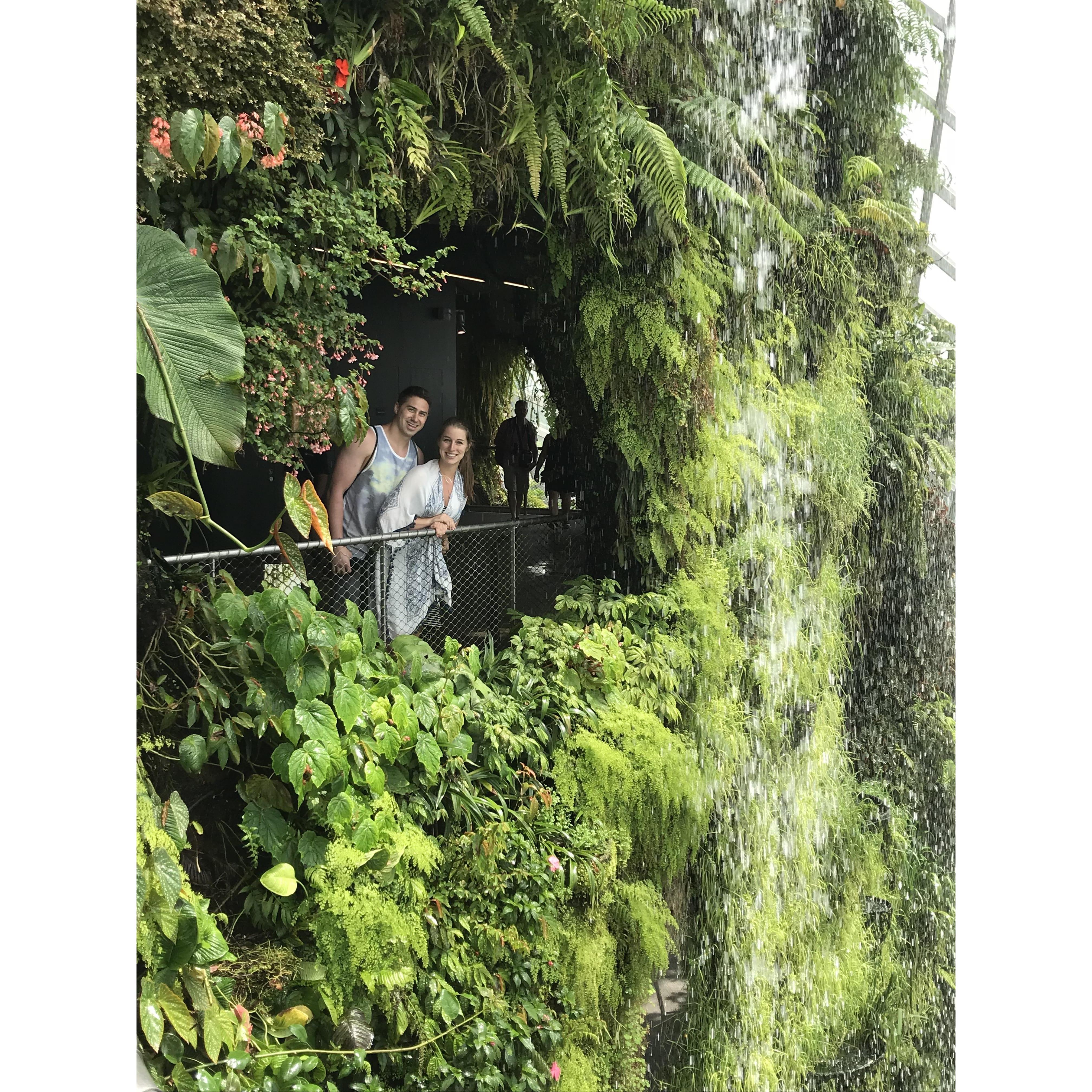 Hanging in the gardens in Singapore