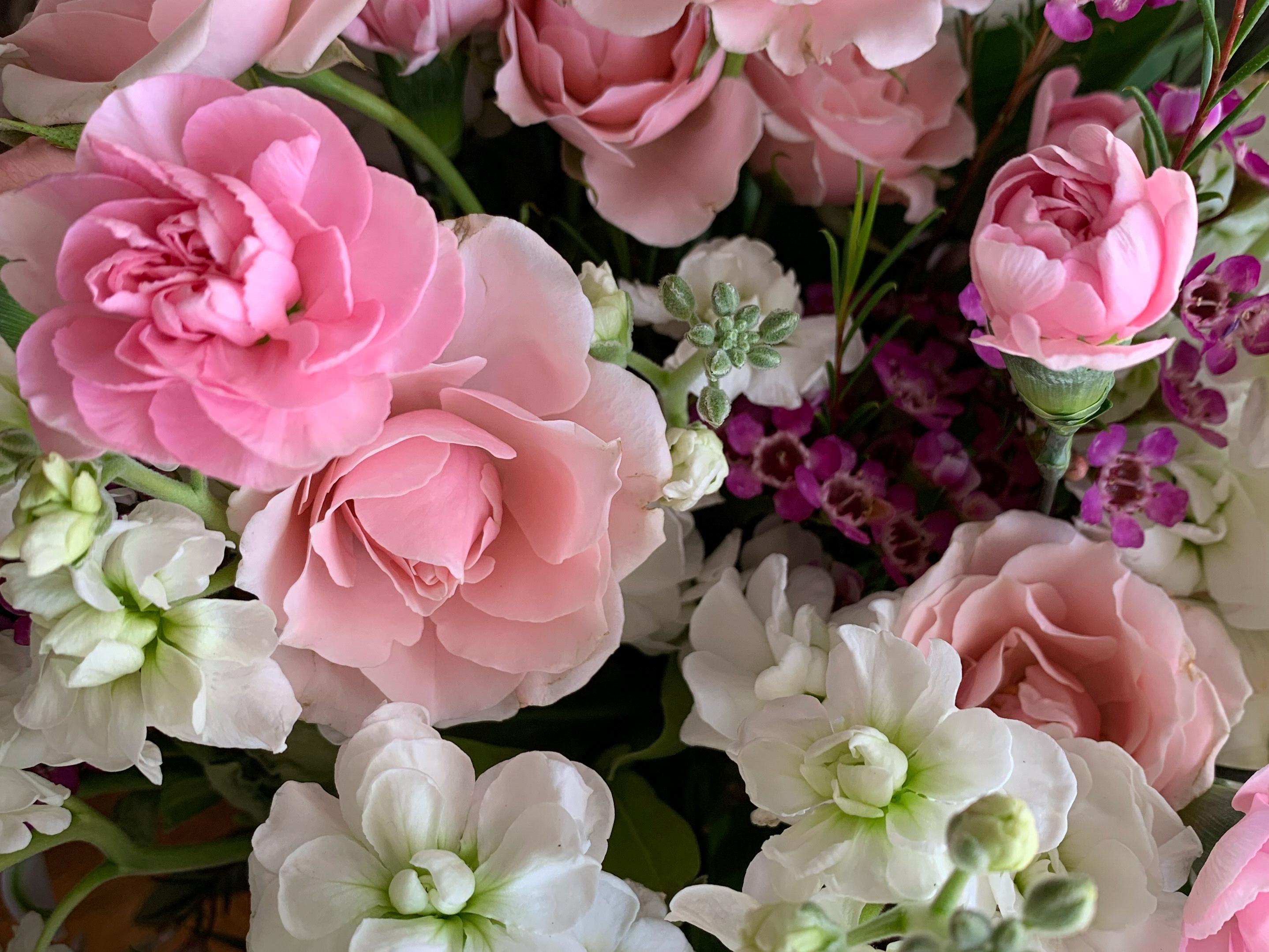 The Wedding Website of Charles Smolic and Breanne Hastings