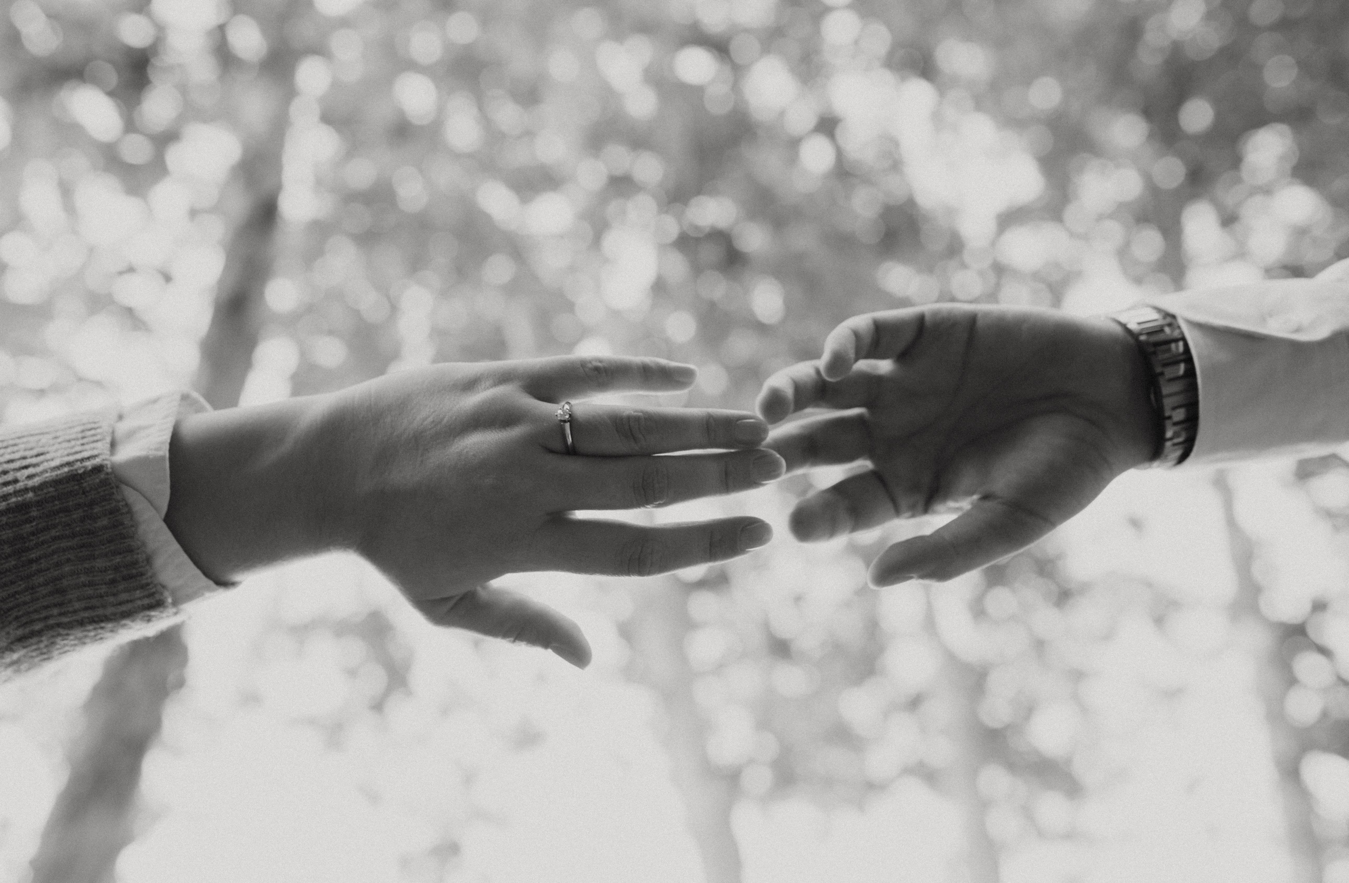 The Wedding Website of Gabriela Arnaldo and Diego Aceves