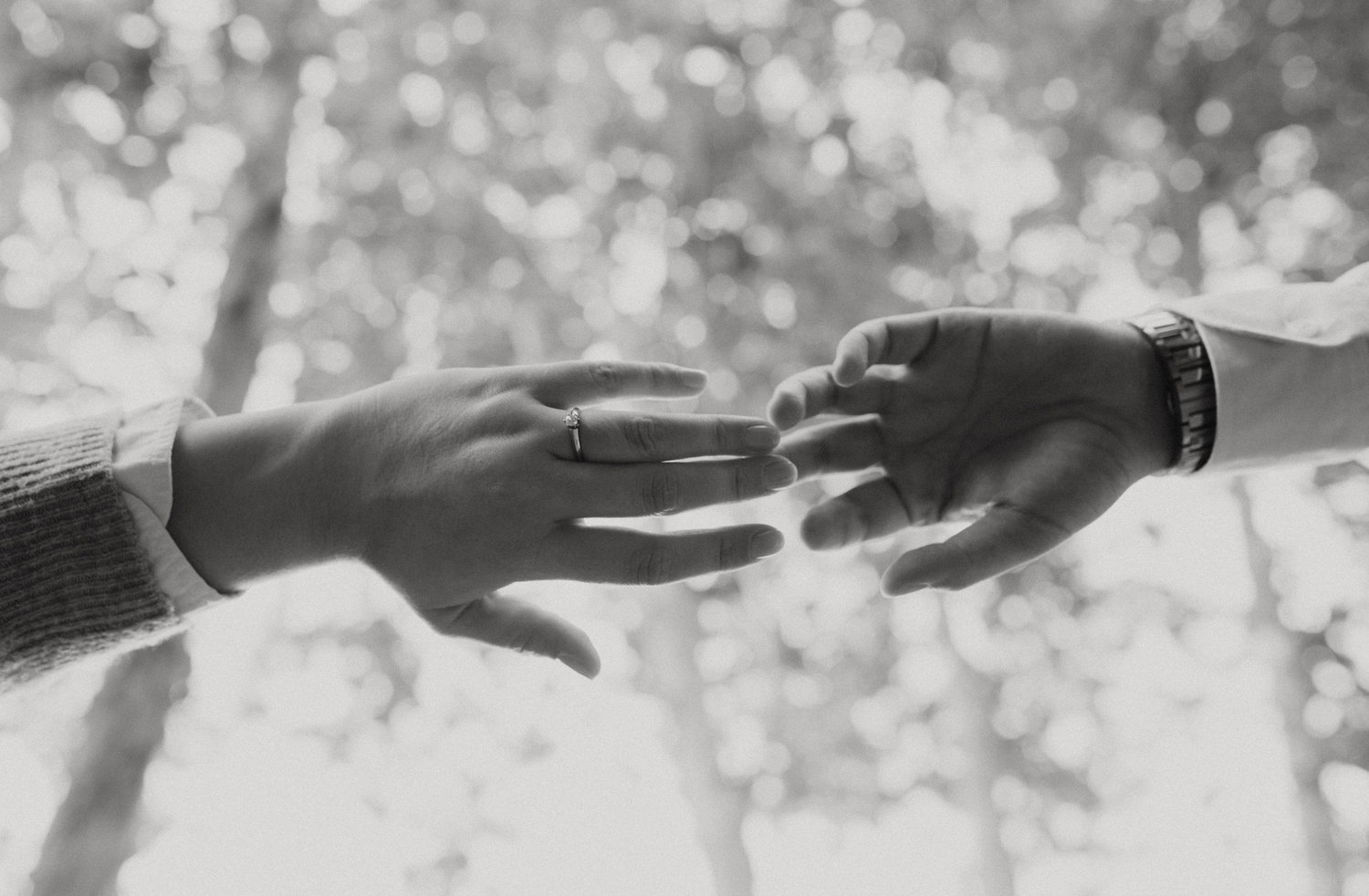 The Wedding Website of Gabriela Arnaldo and Diego Aceves