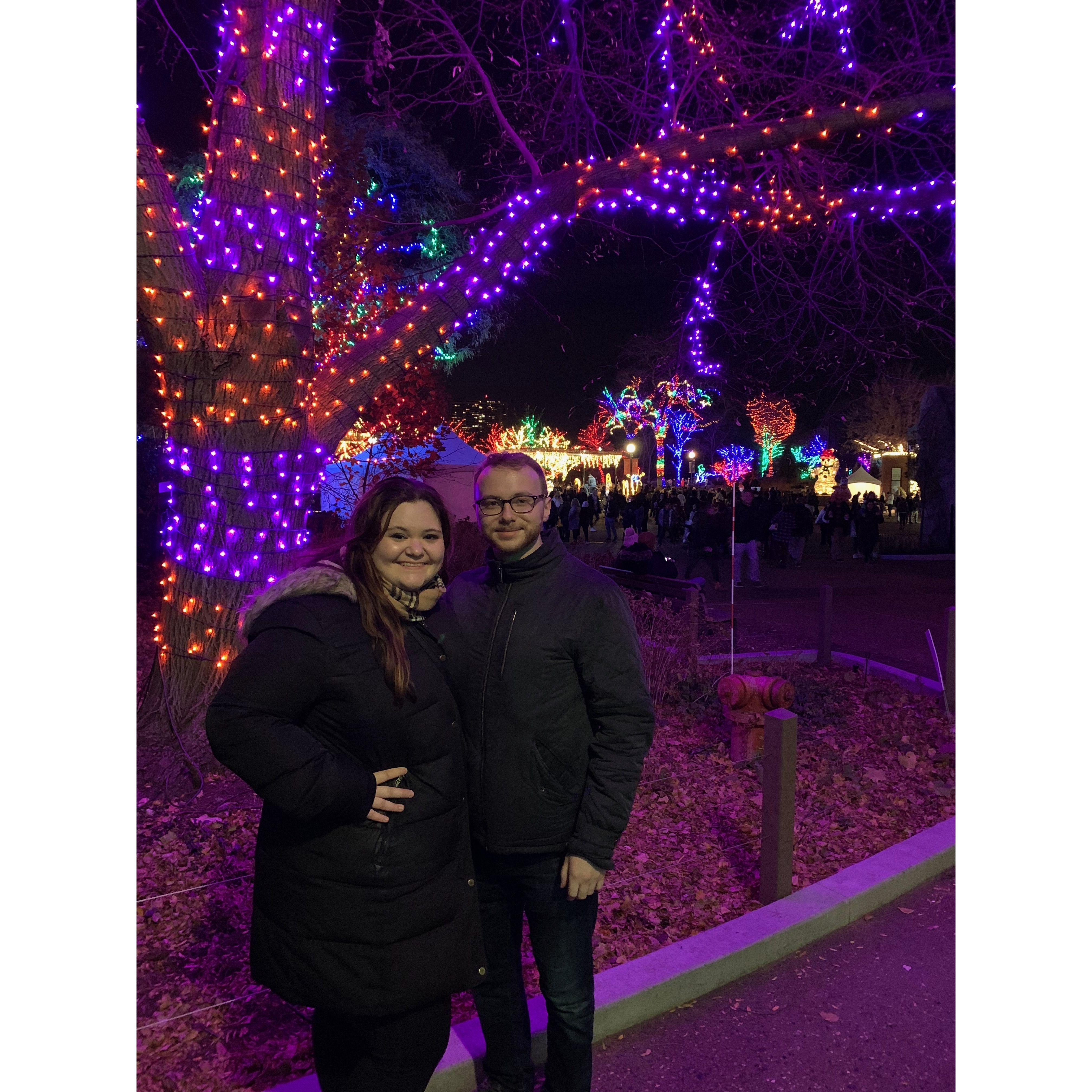 Visit to Lincoln Park Zoo Lights in Chicago: December 2021